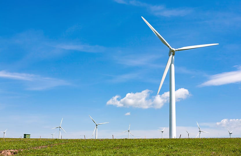 climate reporting leading to complex responsibilities for directors