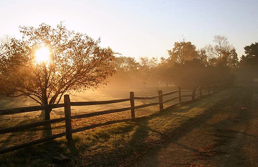 carbon farming an emerging opportunity for agribusiness says law firm