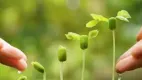 discover item desktop