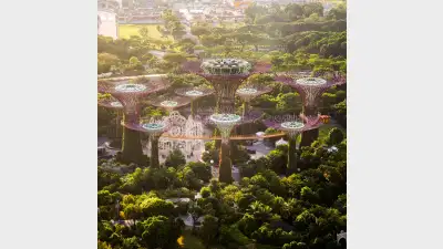 discover item mobile