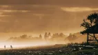 discover item desktop