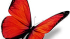 discover item desktop