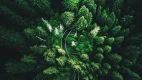 discover item desktop