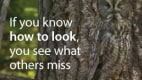 discover item desktop