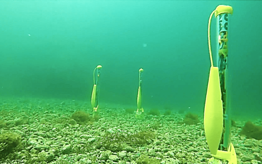 SwarmDiver — image 4