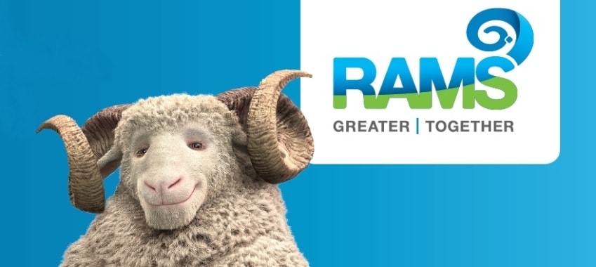 rams a ram