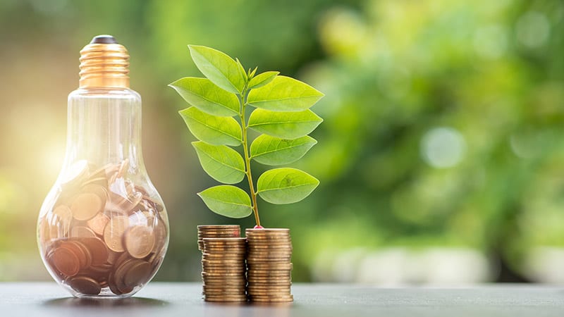 The top skills necessary for ESG professionals amid regulation push - Vimarsana News