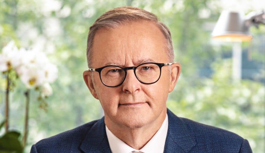 anthony albanese june  lw