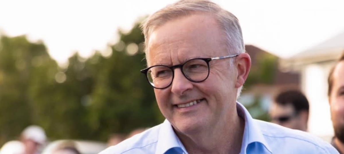 anthony albanese profile ta vtpifc