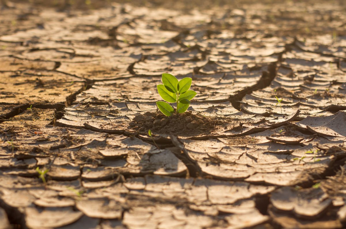 APRA-regulated entities ‘generally aligning’ with climate risk guidance