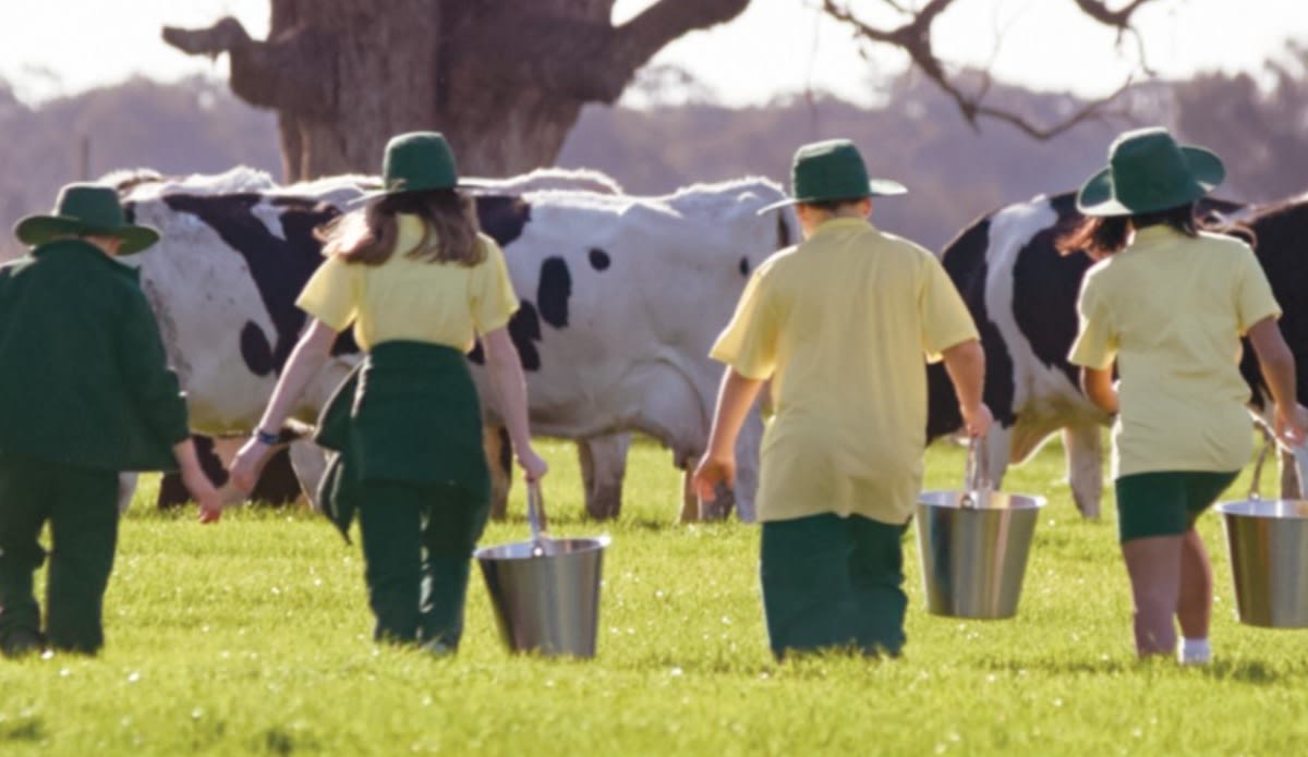 Jalna advised on sale of company to world's largest dairy business - Vimarsana News