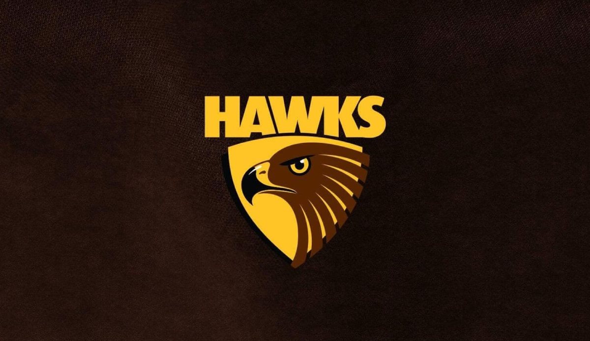 4 barristers appointed to panel to investigate Hawthorn FC racism allegations - Vimarsana News