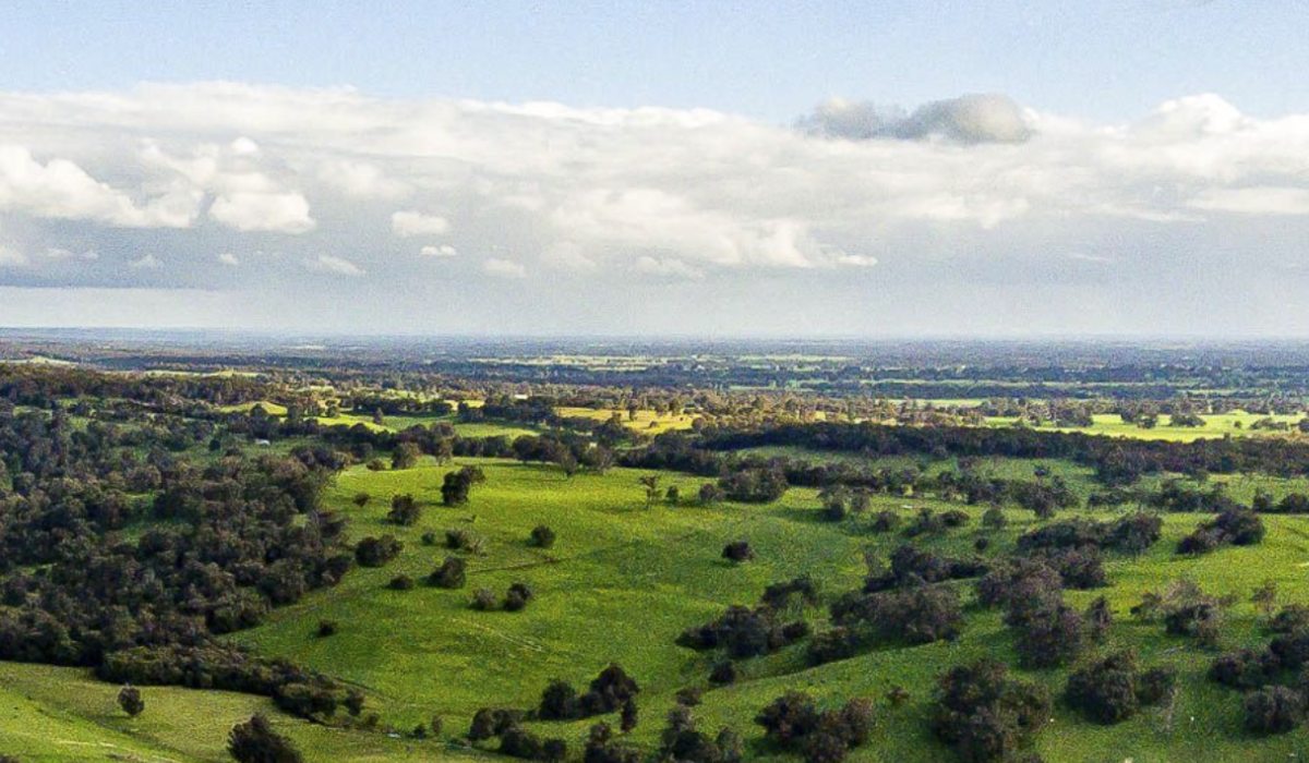 20 Aussie suburbs where price rises are imminent - Vimarsana News