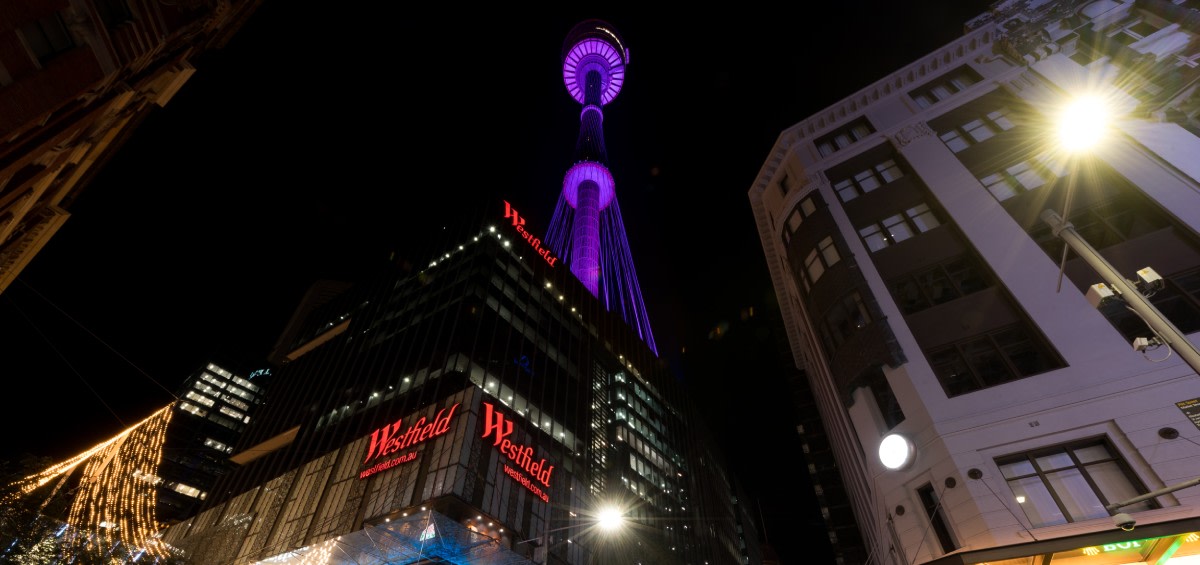 Iconic buildings go purple for campaign against gender-based violence