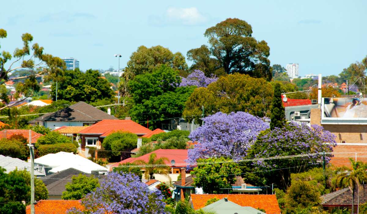 Spring's end brings deeper price declines: Report - Smart Property Investment - Vimarsana News
