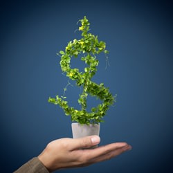 https://res.cloudinary.com/momentum-media-group-pty-ltd/image/upload/v1674720938/Money%20Management/Money_Media_Library/growth1_83463811_5.jpg