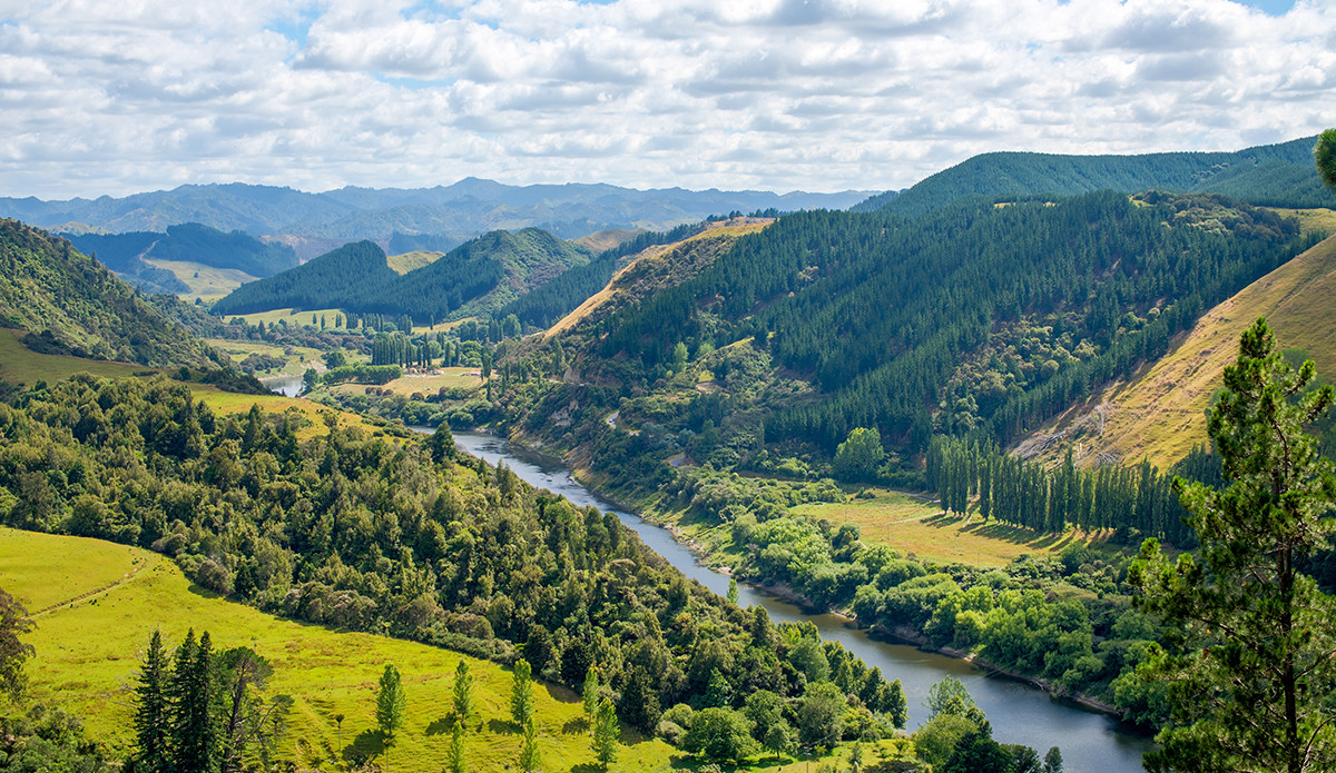 What if the environment held the same legal rights as a human? - Vimarsana News