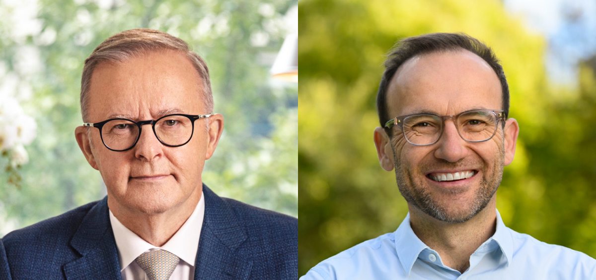 anthony albanese adam bandt reb qvxdfk