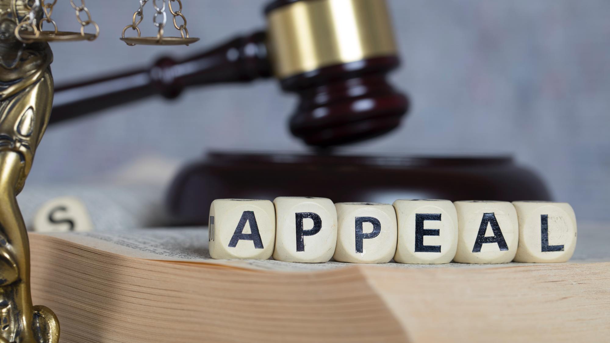 https://res.cloudinary.com/momentum-media-group-pty-ltd/image/upload/v1693292136/Money%20Management/appeal-court-gavel-law-mm_jco8ej.jpg