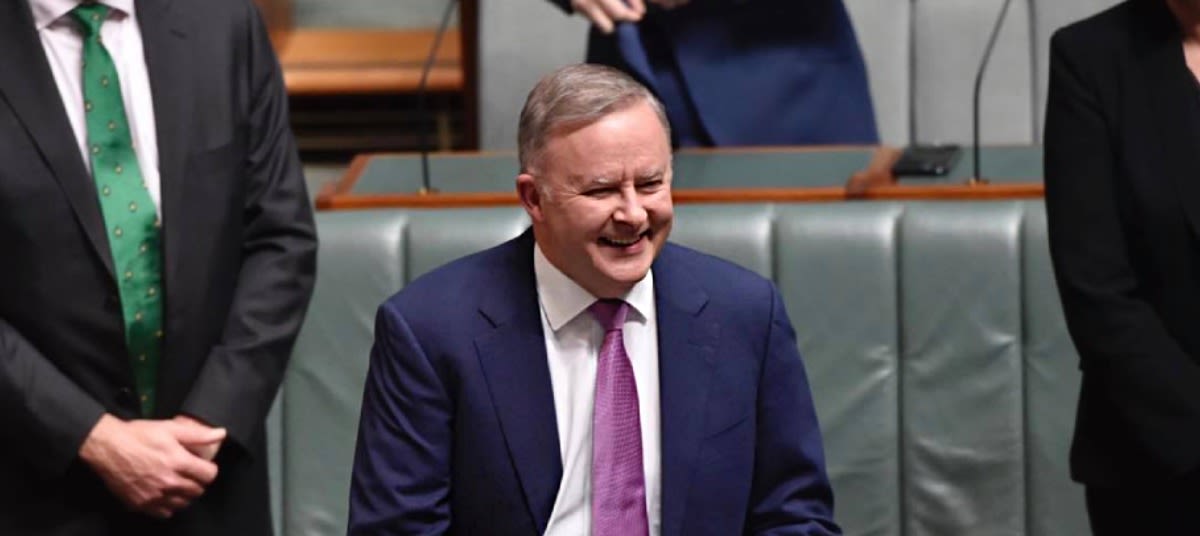 albanese parliament ta gsxcte