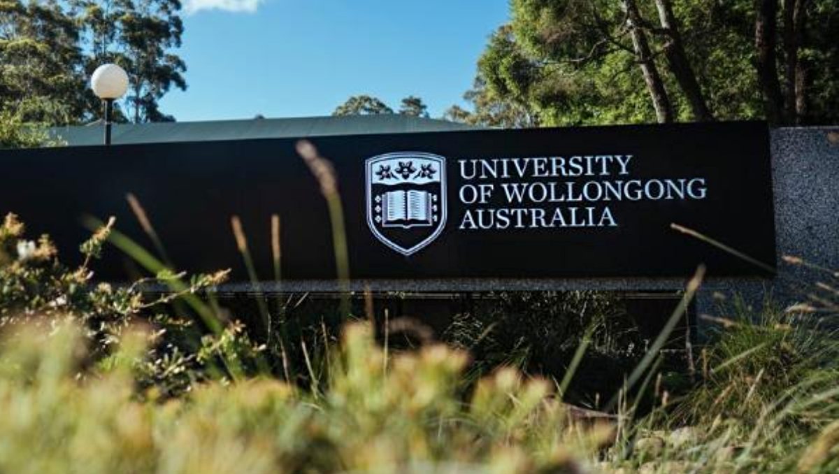 Critical analysis - University of Wollongong – UOW