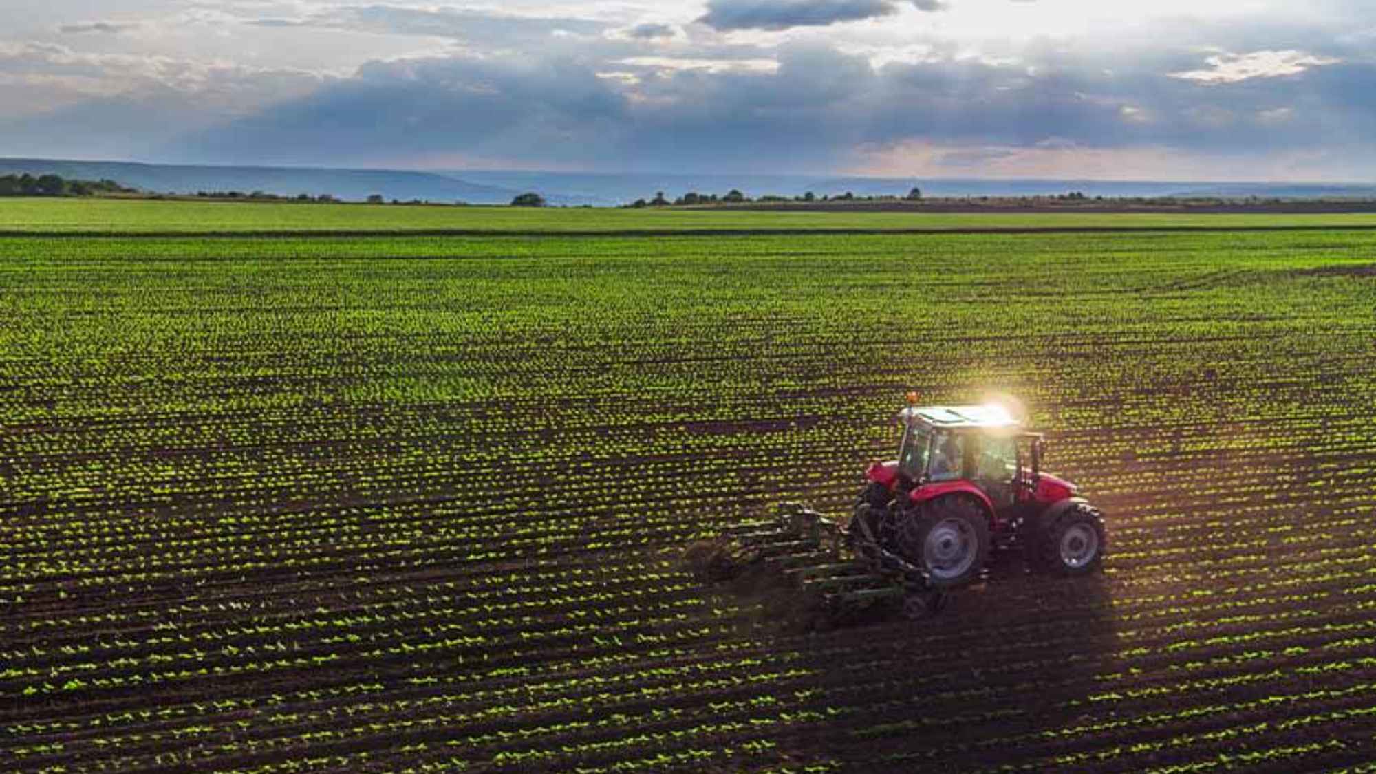 https://res.cloudinary.com/momentum-media-group-pty-ltd/image/upload/v1711000353/Money%20Management/farmland-mm_nwfkrt.jpg