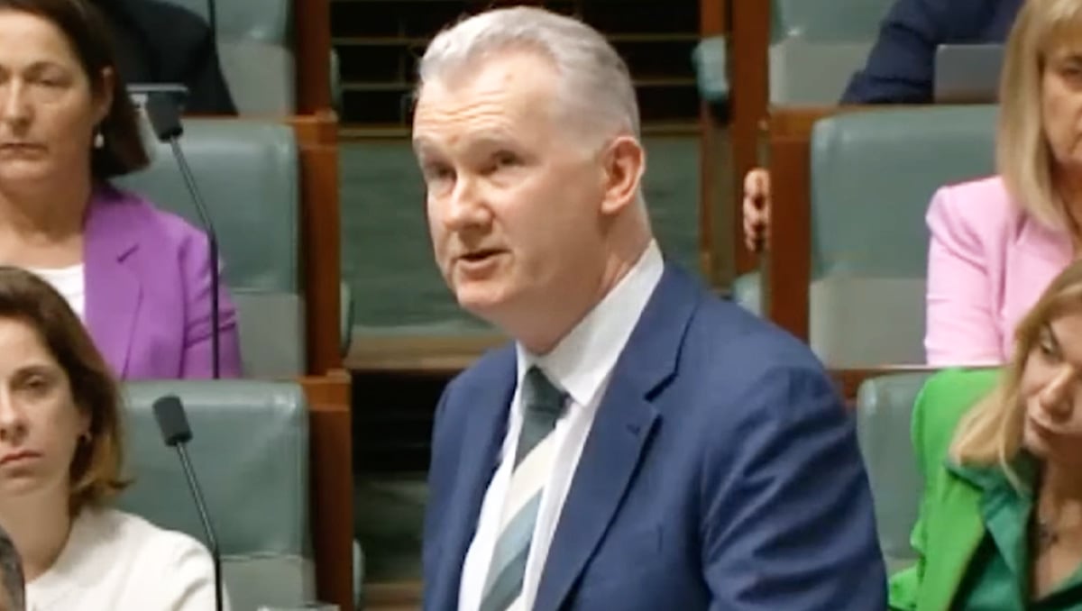 Australian government establishes new Cyber Incident Review Board