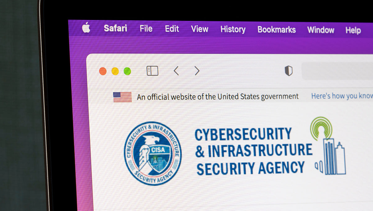 CISA adds 2 vulnerabilities to its KEV catalogue