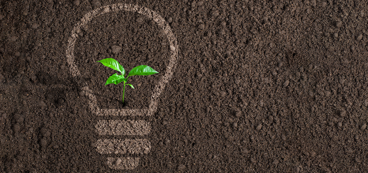 Listings still underreport energy efficiency features despite buyers willing to pay a premium