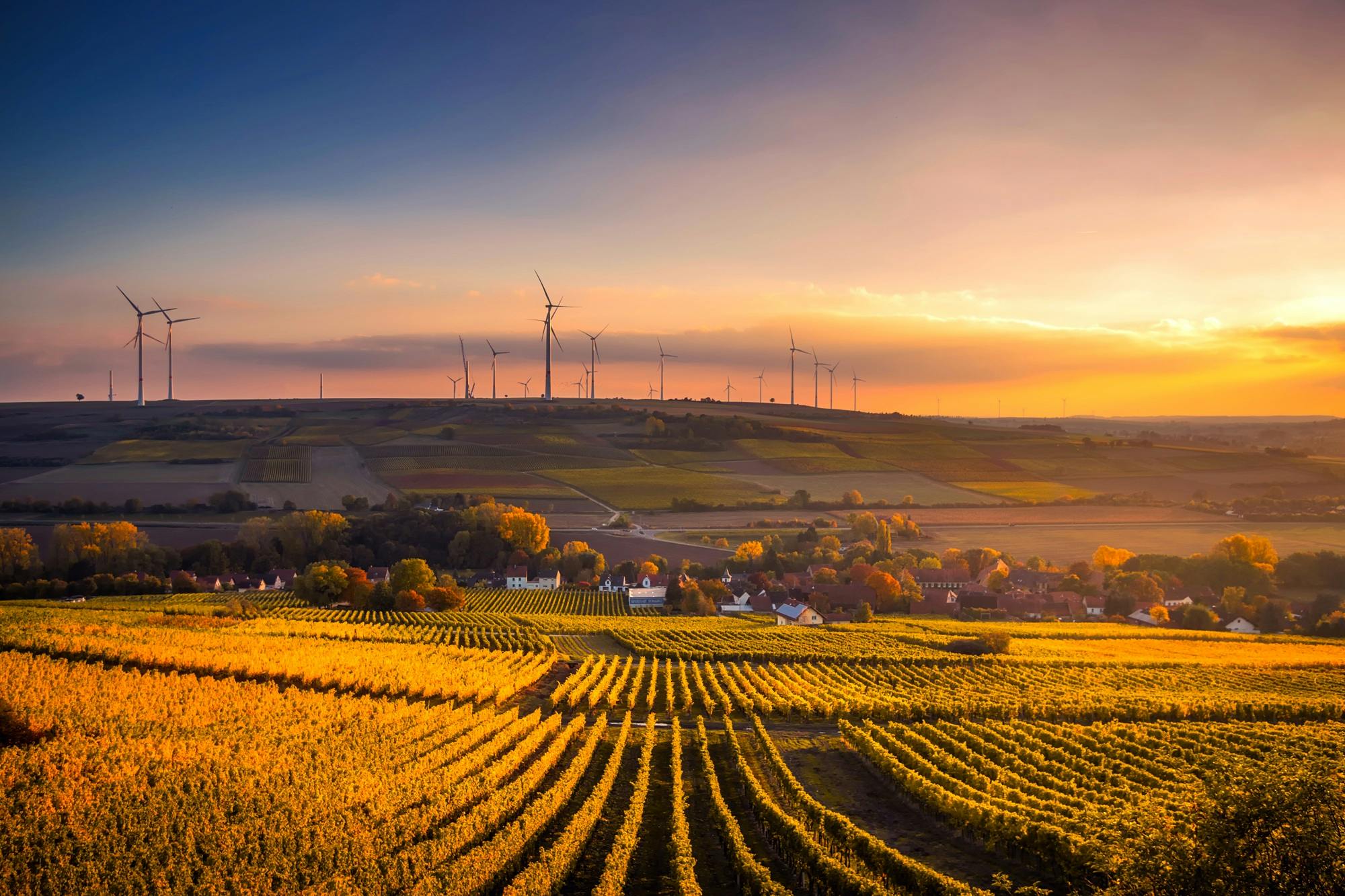 Rest's Sustainable Growth option achieves highest sustainability classification