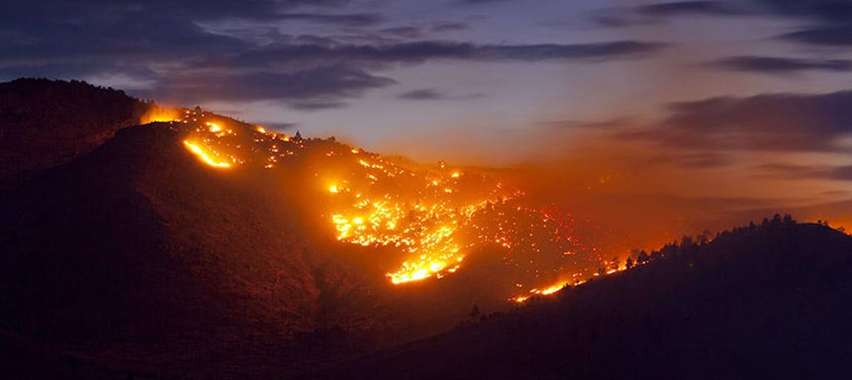 wild bushfire ta zhbsu 