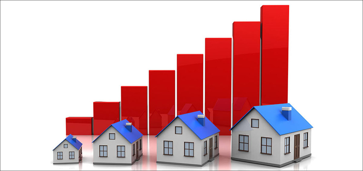 Rate freeze won’t halt property market momentum