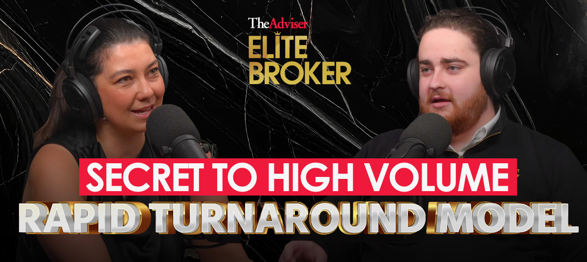   felix katzen ta q vc z