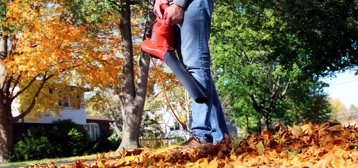 ‘You don’t want me as an enemy’: Agent loses his temper over leaf blower