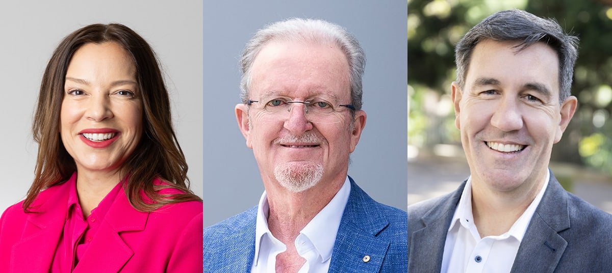 anja pannek peter white david carson ta mbxenh