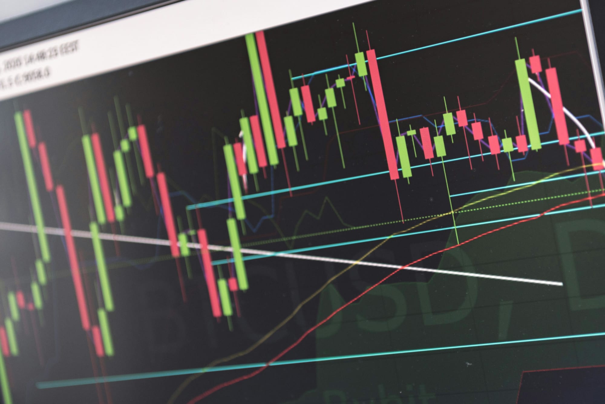 ASX small caps report mixed results amid market optimism