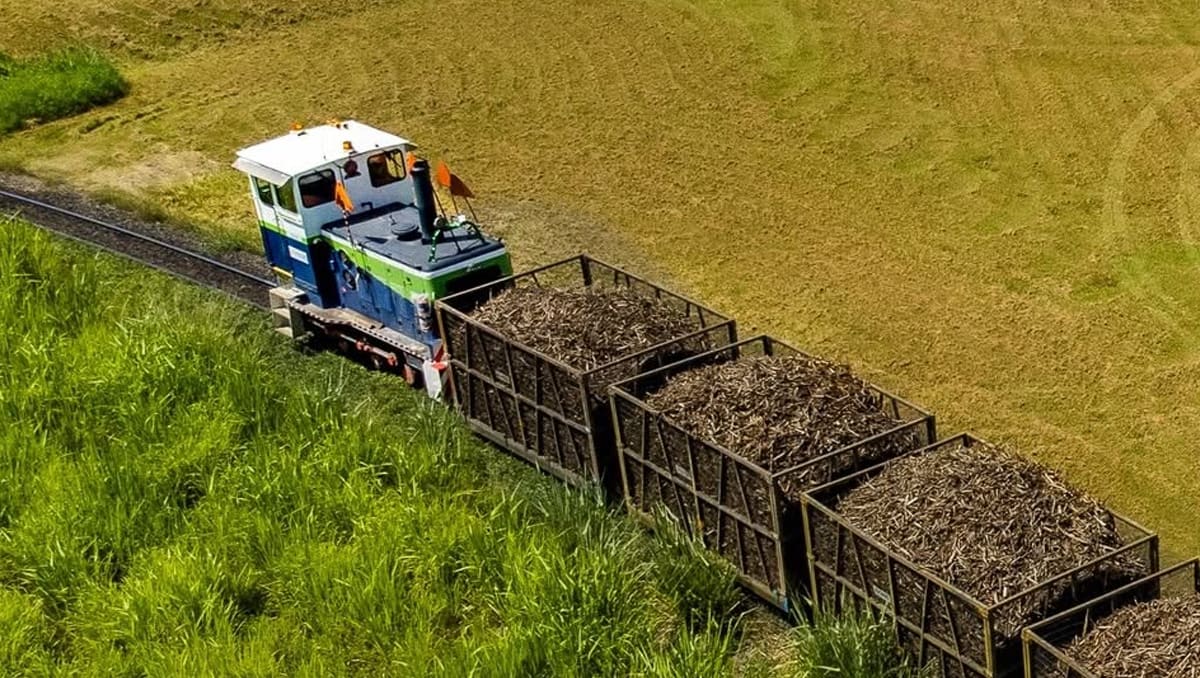 2 Mackay sugar mills shut down following cyber incident