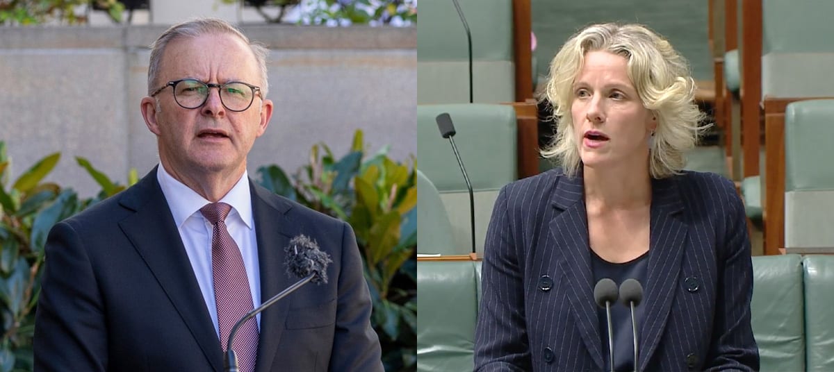 anthony albanese claire o neil ta pgmiog