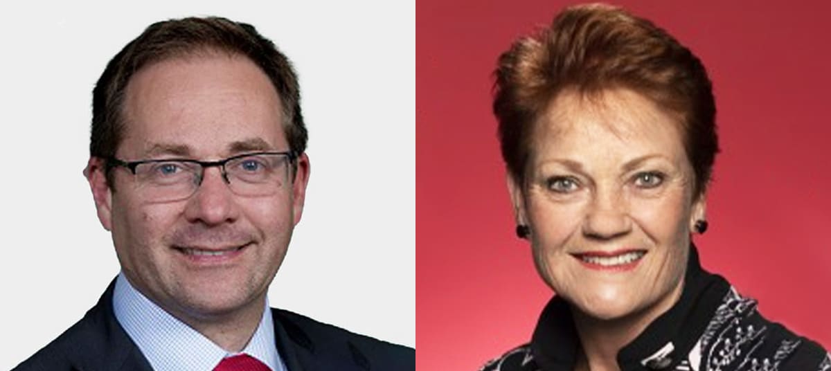 daniel mulino pauline hanson ta ewodqx