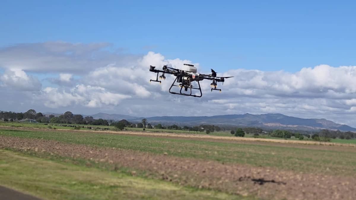 Queensland government launches airstrike on fire ants – Australian Aviation Queensland government launches airstrike on fire ants – Australian Aviation
