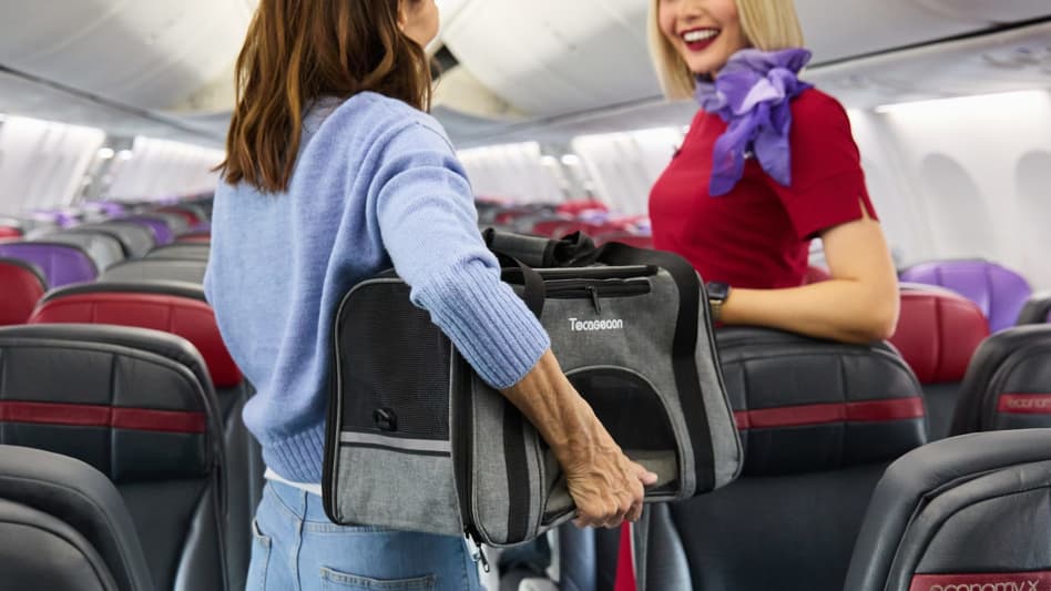 Virgin Australia pets in cabin coverage