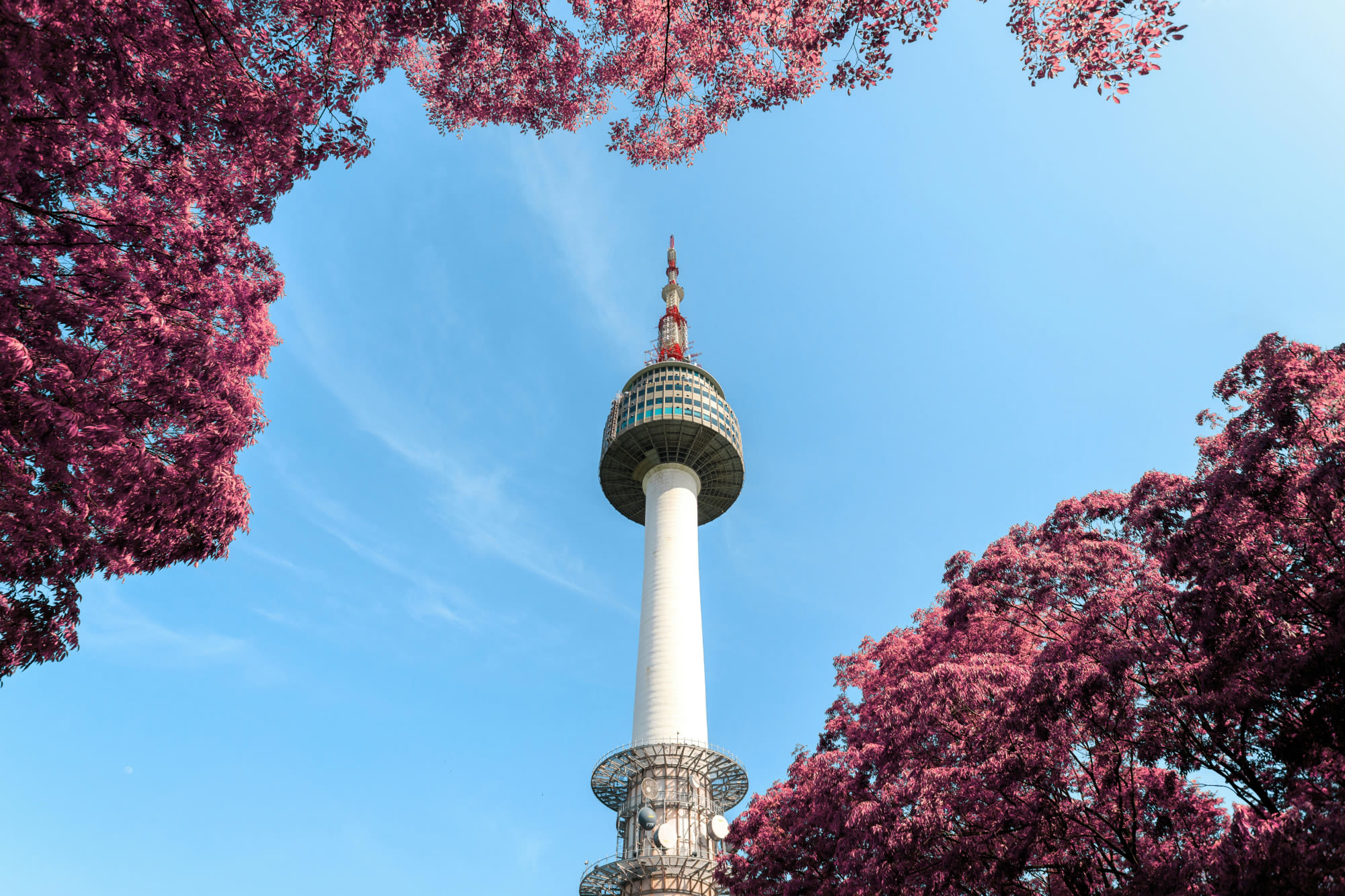 Air New Zealand to resume seasonal flights to Seoul