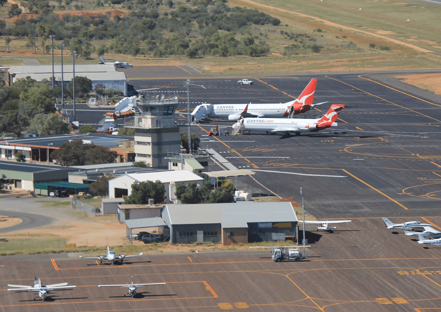 Dozens of venomous snakes removed from Alice Springs Airport, including Qantas lounge