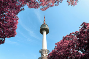 Air New Zealand to resume seasonal flights to Seoul