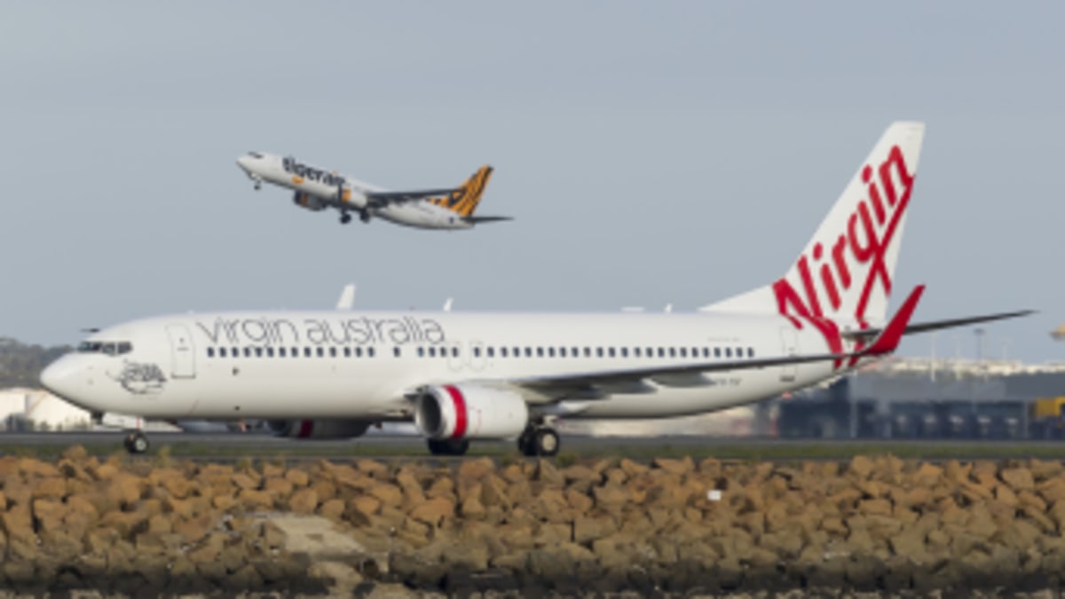 No birds seen at Queenstown before suspected Virgin strike: airport