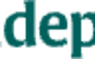 Logo of The Irish Independent
