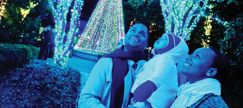 Holiday Light Show Returns To Atlanta Botanical Garden Mommy Nearest