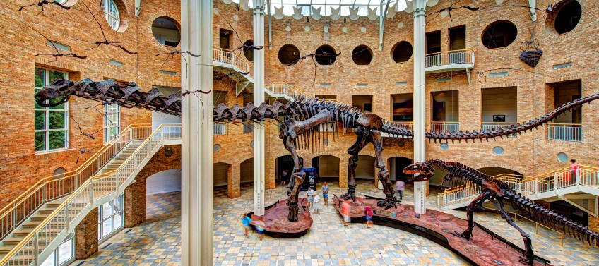 Guide to the Fernbank Museum of Natural History in Atlanta - Mommy Nearest