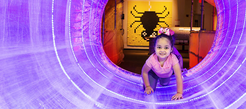 Kid Friendly Exhibits To See In Nyc