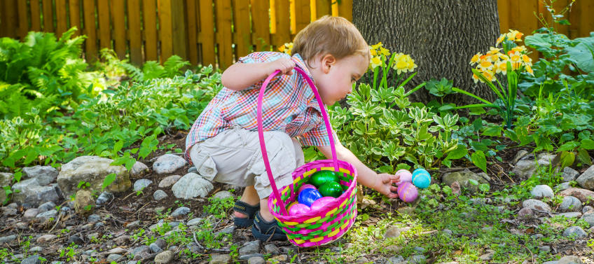 what is easter egg hunt